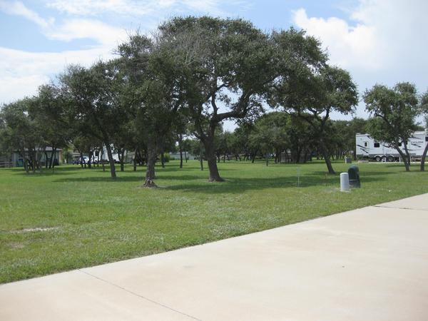Common Areas with Oak Trees