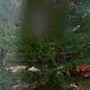 Mobile Home for Sale: 2 Bed 1 Bath 1976 Mobile Home