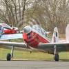 Aircraft for Sale: DHC1-MK22 de Havilland Chipmunk for Sale