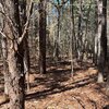 Photo of Mobile Home Lot