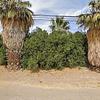 Mobile Home for Sale: Mobile Home