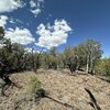 Photo of Mobile Home Lot