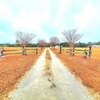 Mobile Home for Sale: Double Wide, Manufactured with Land - Loris, SC, Loris, SC