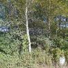 Mobile Home for Sale: Mobile Home