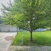 Mobile Home for Sale: 3 Bed 2 Bath 2003 Mobile Home