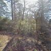 Mobile Home for Sale: 1967 Mobile Home