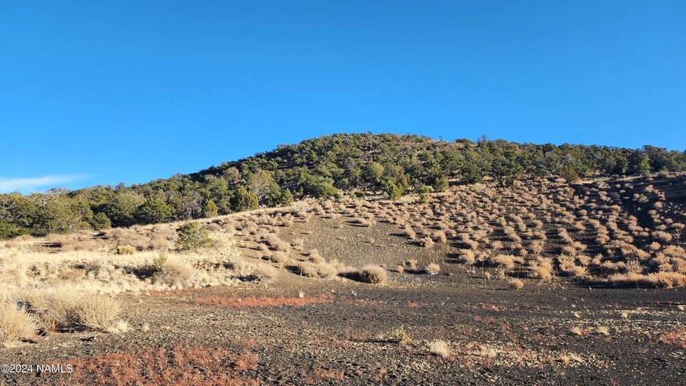Photo of Mobile Home Lot