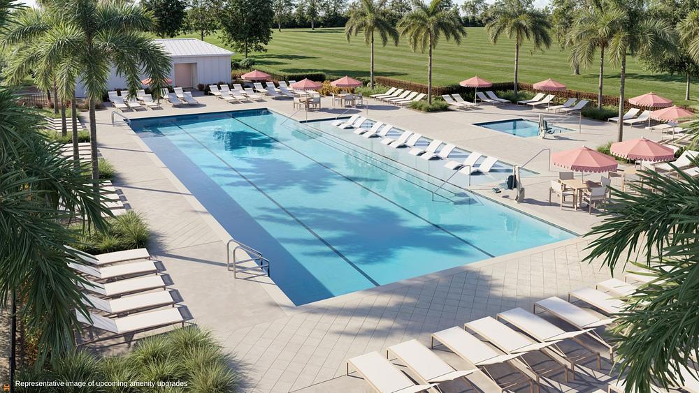 Pool Rendering Tropical Haven