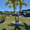 RV Lot for Rent: For Rent:  Spacious Full hook up RV Lot, Pet Friendly, very quiet, Fort Myers, FL