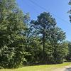 Mobile Home Lot for Sale: Excellent Location! Prior Mobile Home Lot with Room to Expand!, South Congaree, SC