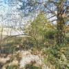 Mobile Home for Sale: 1999 Mobile Home