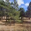 Mobile Home for Sale: 2005 Mobile Home