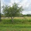Mobile Home for Sale: 2003 Mobile Home