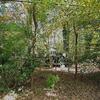 Mobile Home for Sale: 2 Bed 1.5 Bath 1950 Mobile Home