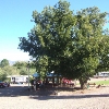 Recreation area