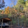 RV for Sale: 2019 PIONEER RL 250