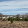 Photo of Mobile Home Park