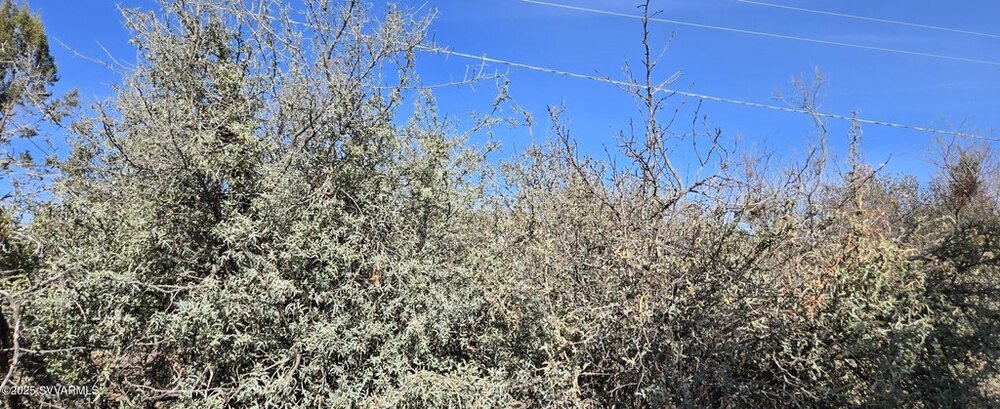 Photo of Mobile Home Lot