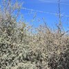 Photo of Mobile Home Lot