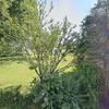 Mobile Home for Sale: 2 Bed 2 Bath 2023 Mobile Home