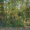 Mobile Home for Sale: 1974 Mobile Home