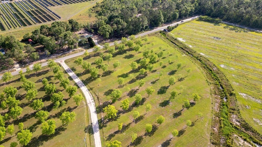 Photo of Mobile Home Lot
