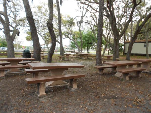picnic area
