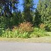 Mobile Home for Sale: 4 Bed 2 Bath 2018 Mobile Home