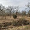 Mobile Home for Sale: Mobile Home