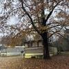 Mobile Home for Sale: Mobile Home