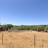 Photo of Mobile Home Lot