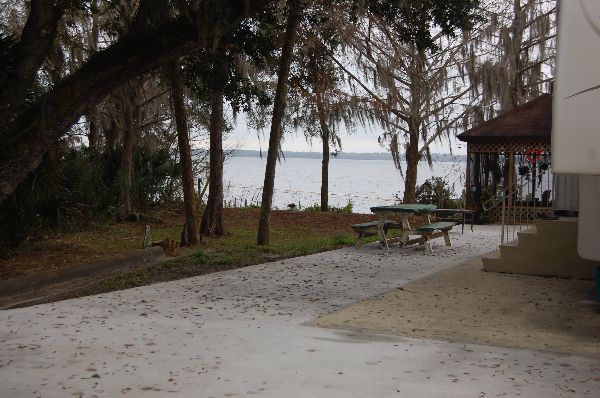 St. John's River seen from lot