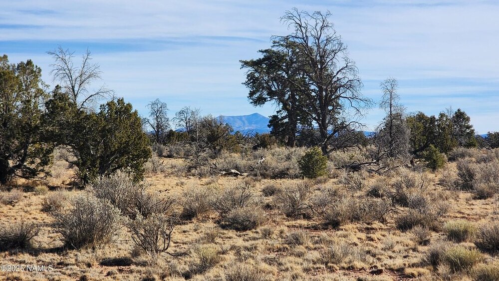 Photo of Mobile Home Lot