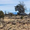 Photo of Mobile Home Lot