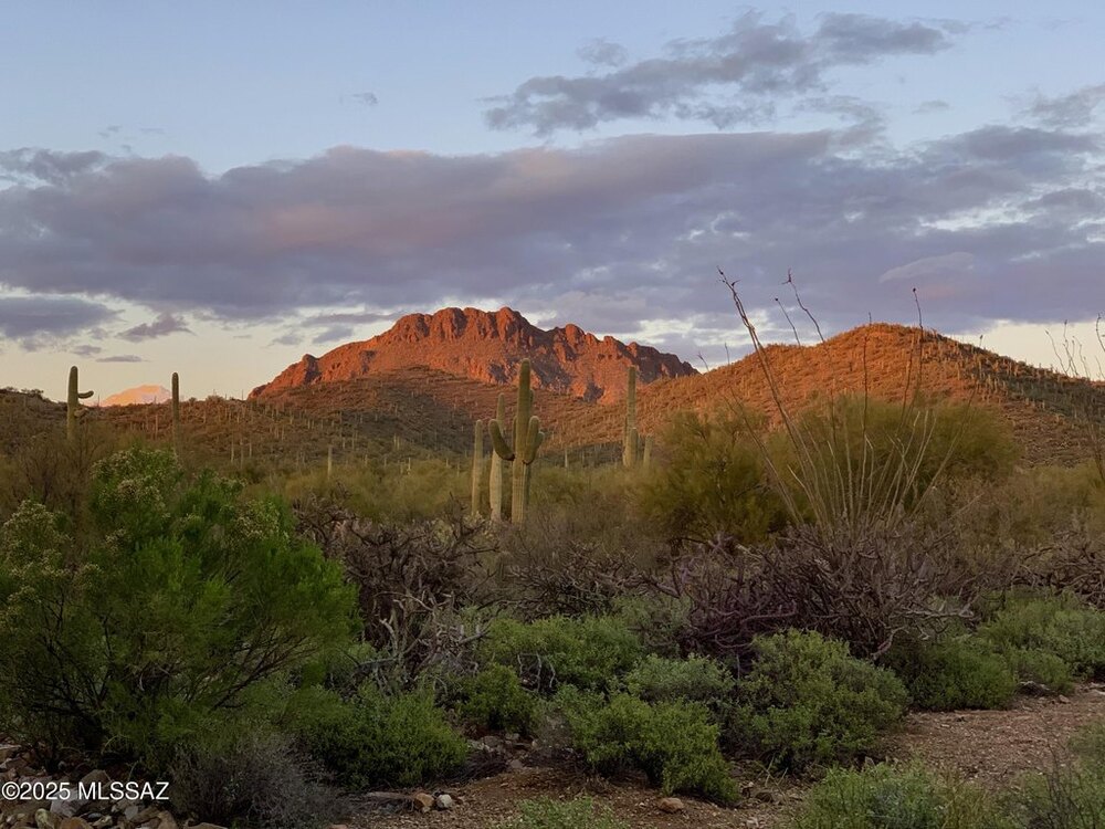 Photo of Mobile Home Lot