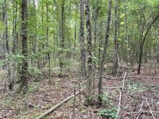 Photo of Mobile Home Lot