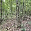 Photo of Mobile Home Lot