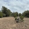 Photo of Mobile Home Lot