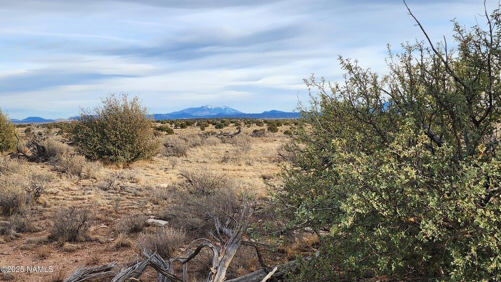 Photo of Mobile Home Lot