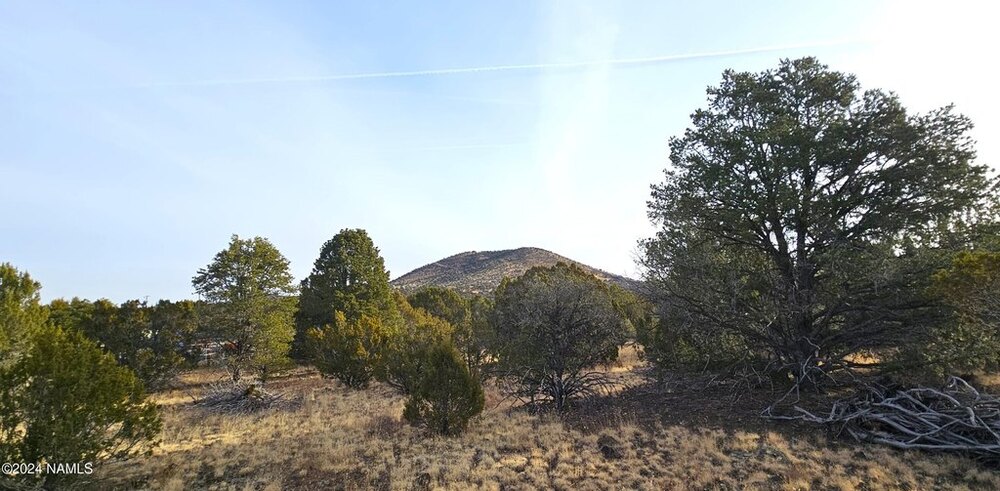 Photo of Mobile Home Lot