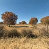 Mobile Home for Sale: 2017 Mobile Home