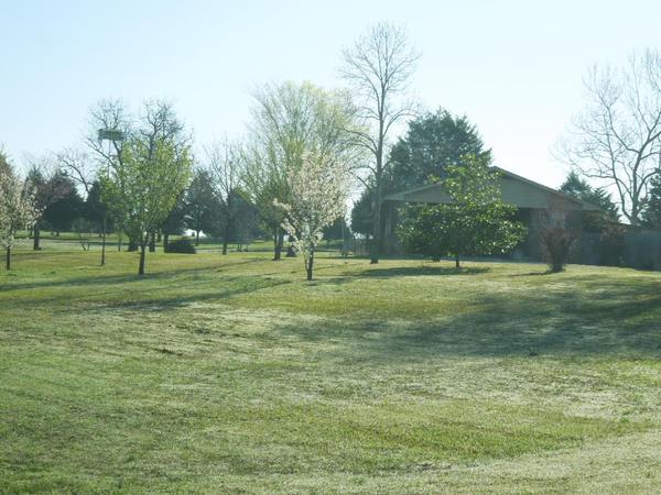 Photo of Mobile Home Park
