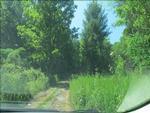Photo of Mobile Home Lot