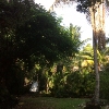 RV Lot for Rent: Private Estate, Tavernier, FL
