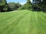 Photo of Mobile Home Lot