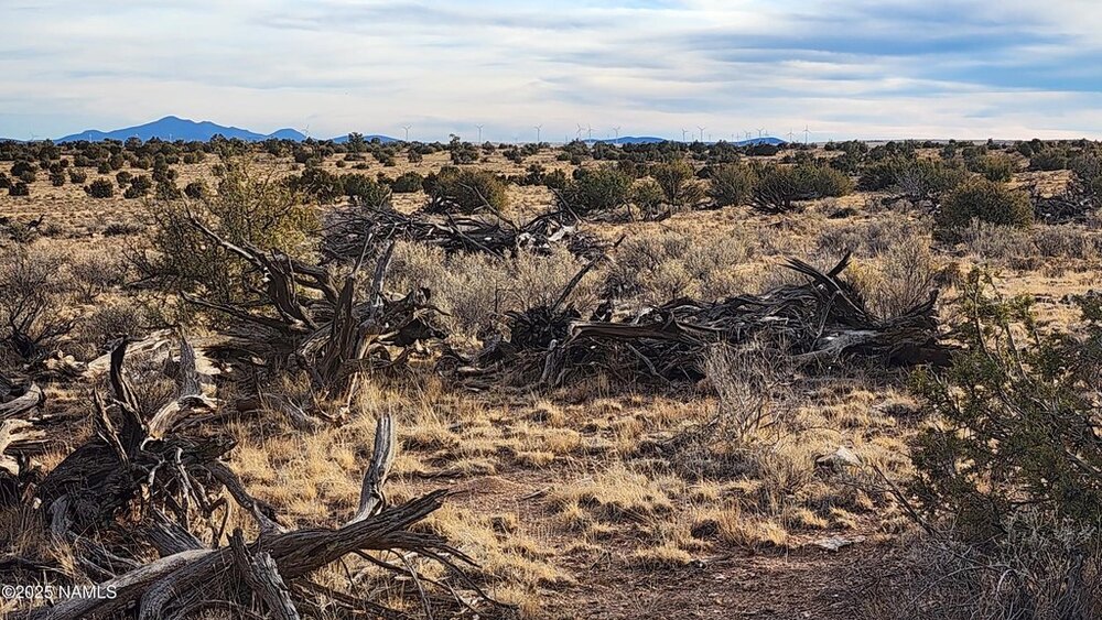 Photo of Mobile Home Lot