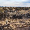 Photo of Mobile Home Lot