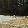 Photo of Mobile Home Lot