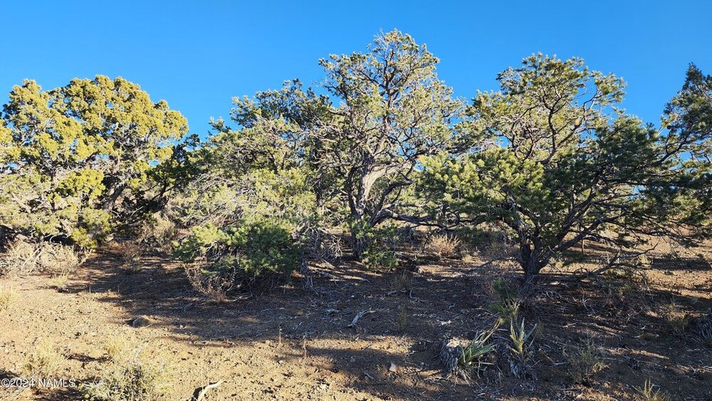 Photo of Mobile Home Lot