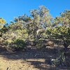 Photo of Mobile Home Lot